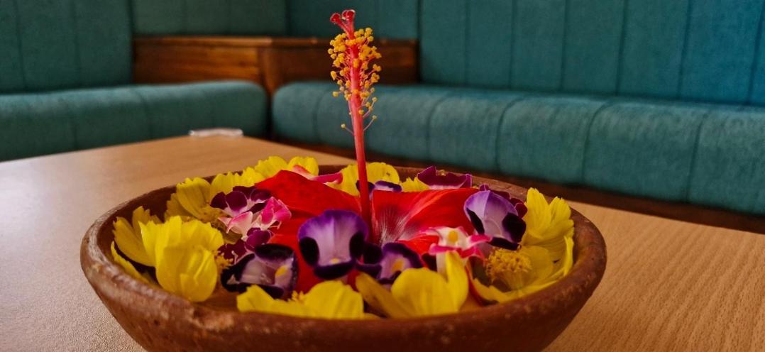 Blue Cove Villa バルカラ エクステリア 写真